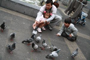 Taken in one of the parks in Antwerp. Photo on the right shows my brother in-law Gilbert, niece Gabrielle and my son Kyle 